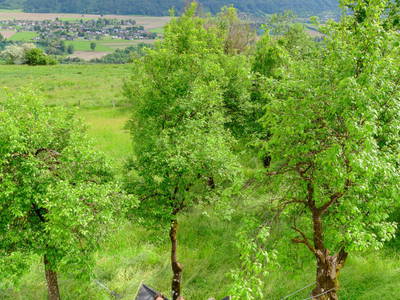 Bild 137 aus  Landhaus Sofie