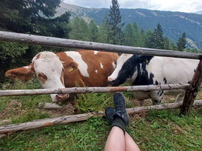 Bild 91 aus  Forstnighof