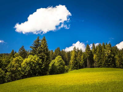 Bild 35 aus  Chalet Bascht am Maroldenhof