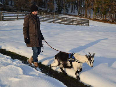 Bild 153 aus  Kaspergut