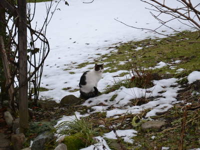 Bild 58 aus  Dorner Hof