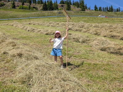 Bild 98 aus  Schuistlhof