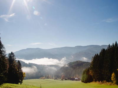 Bild 248 aus  Michlbauer