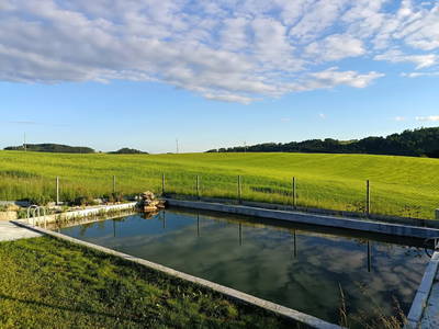 Bild 6 aus  Natur Erlebnishof Aumayr