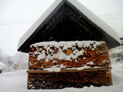 Bild 91 aus Abenteuerhof Schiefer