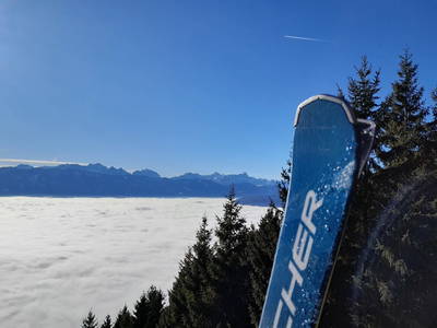 Bild 55 aus  Sonnhof