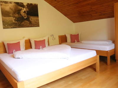 Bild 252 aus  Familienbauernhof Bereuter