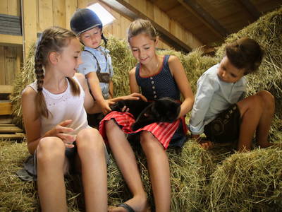 Bild 35 aus  Haus Bergquell mit Pferdestall