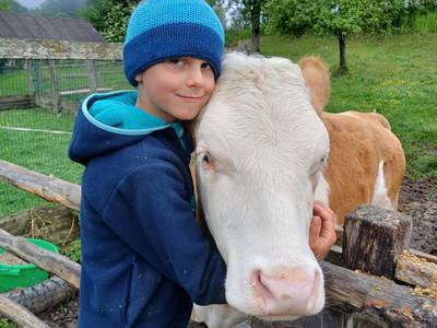 Bild 14 aus  Familienparadies Zeislerhof