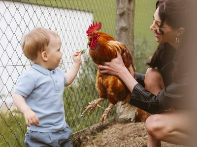 Bild 19 aus  Knappenhof