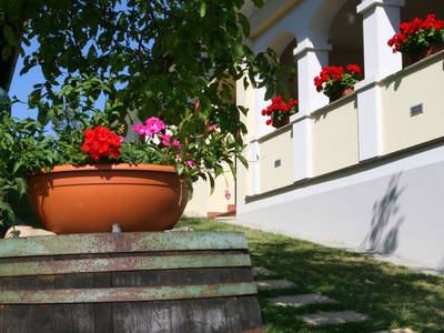 Bild 2 aus  Ferienapartments Meixner