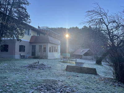 Bild 24 aus  Familien und Pferdebauernhof