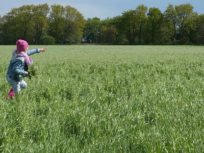 Bild 12 aus  Ferienhof Nissen