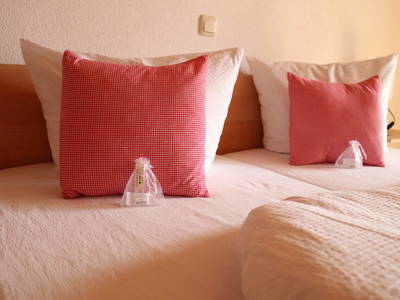 Bild 247 aus  Familienbauernhof Bereuter