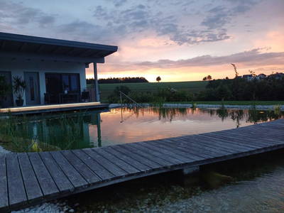 Bild 38 aus  Schnatterhof