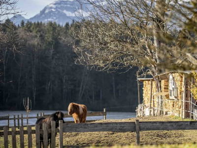 Bild 5 aus  Riedhof-Zuahaus