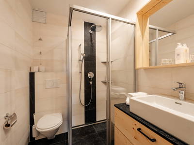 Bild 219 aus  Ferienhof Obergasser & Pension Bergblick