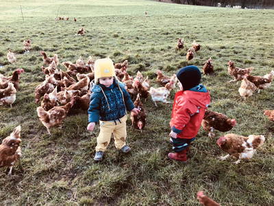 Bild 41 aus  Wastlbauer 