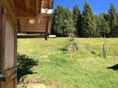 Bild 75 aus  Holzknechthütte