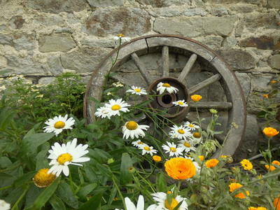 Bild 13 aus  Schneidmühle