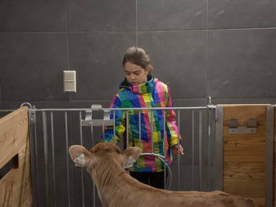 Bild 79 aus  Haus Bernardes