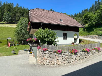 Bild 7 aus  Hanslgrabner