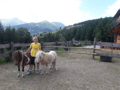 Bild 77 aus  Almchalet Nikola