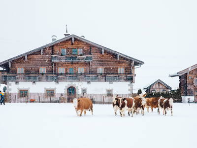 Bild 71 aus  Chalet Steinerner Meerblick