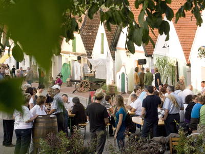 Bild 64 aus  BioWeingut Hauerhof 99