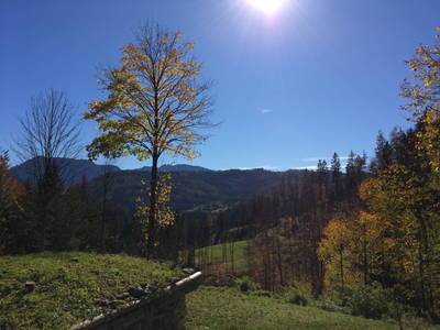 Bild 51 aus  Holzknechthütte