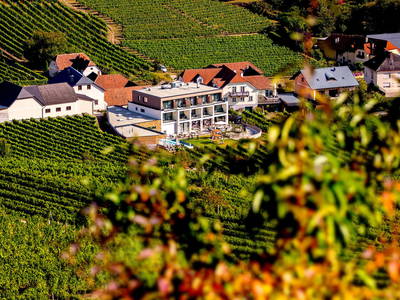 Bild 3 aus  Weingut STRAWANZER Donabaum