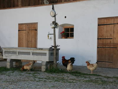 Bild 134 aus  Kaspergut