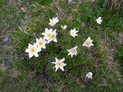 Bild 178 aus  Bacherhof