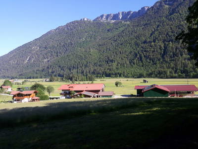 Bild 42 aus  Ascherbauer