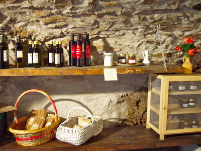 Bild 10 aus  Casarina