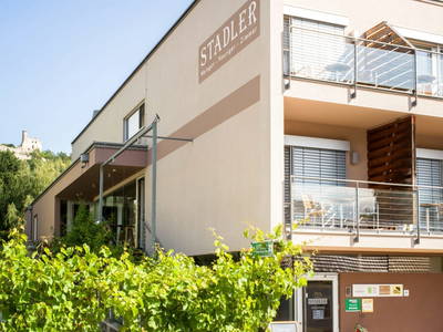 Bild 53 aus  Weingut Stadler