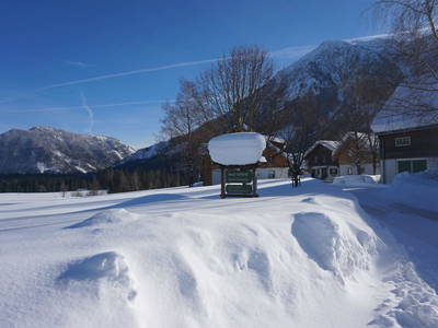 Bild 237 aus  Stanglhof