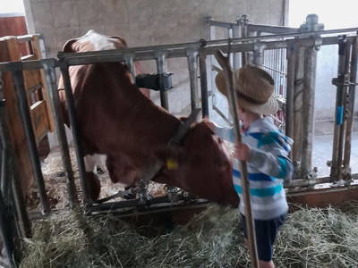 Bild 123 aus  Anderlbauer