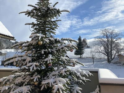 Bild 31 aus  Biohof Kroisleitner