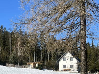 Bild 96 aus  Waldheimat Blick