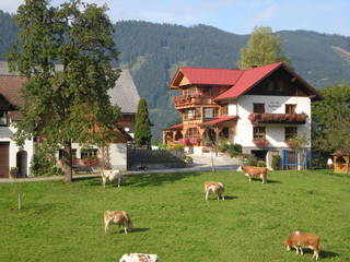 Salcheck aus Hollenstein an der Ybbs