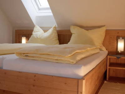 Bild 47 aus  Weingut Kleinschuster