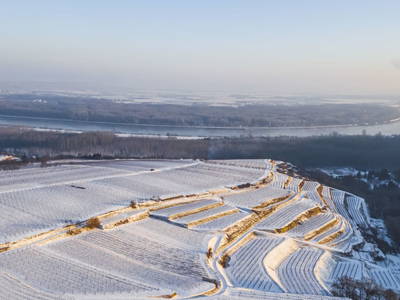Bild 25 aus  Naturgartenurlaub - Steffis Ferienwohnungen