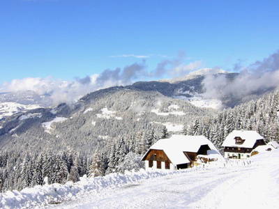 Bild 8 aus  Biohof Stockreiter vulgo Grillschmied
