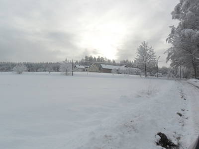 Bild 10 aus  Rebbeshof