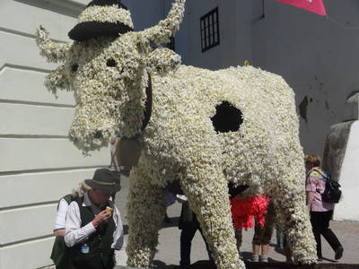 Bild 266 aus  Stanglhof