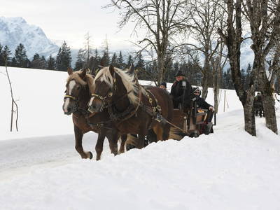 Bild 33 aus  Bio-Hof Vorderoberlehen