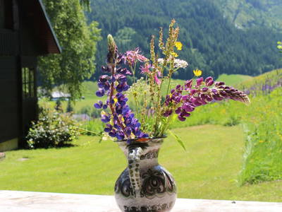 Bild 6 aus  Triebentalblick Hütte