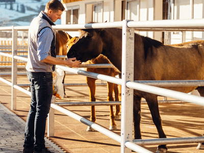 Bild 50 aus  Erlebnisgut Oberhabach