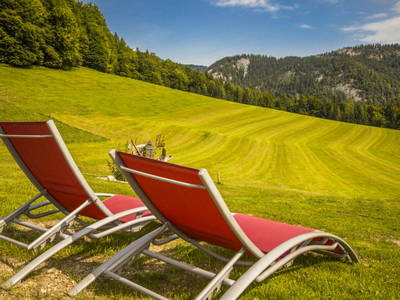 Bild 21 aus  Bambichl Hoamat